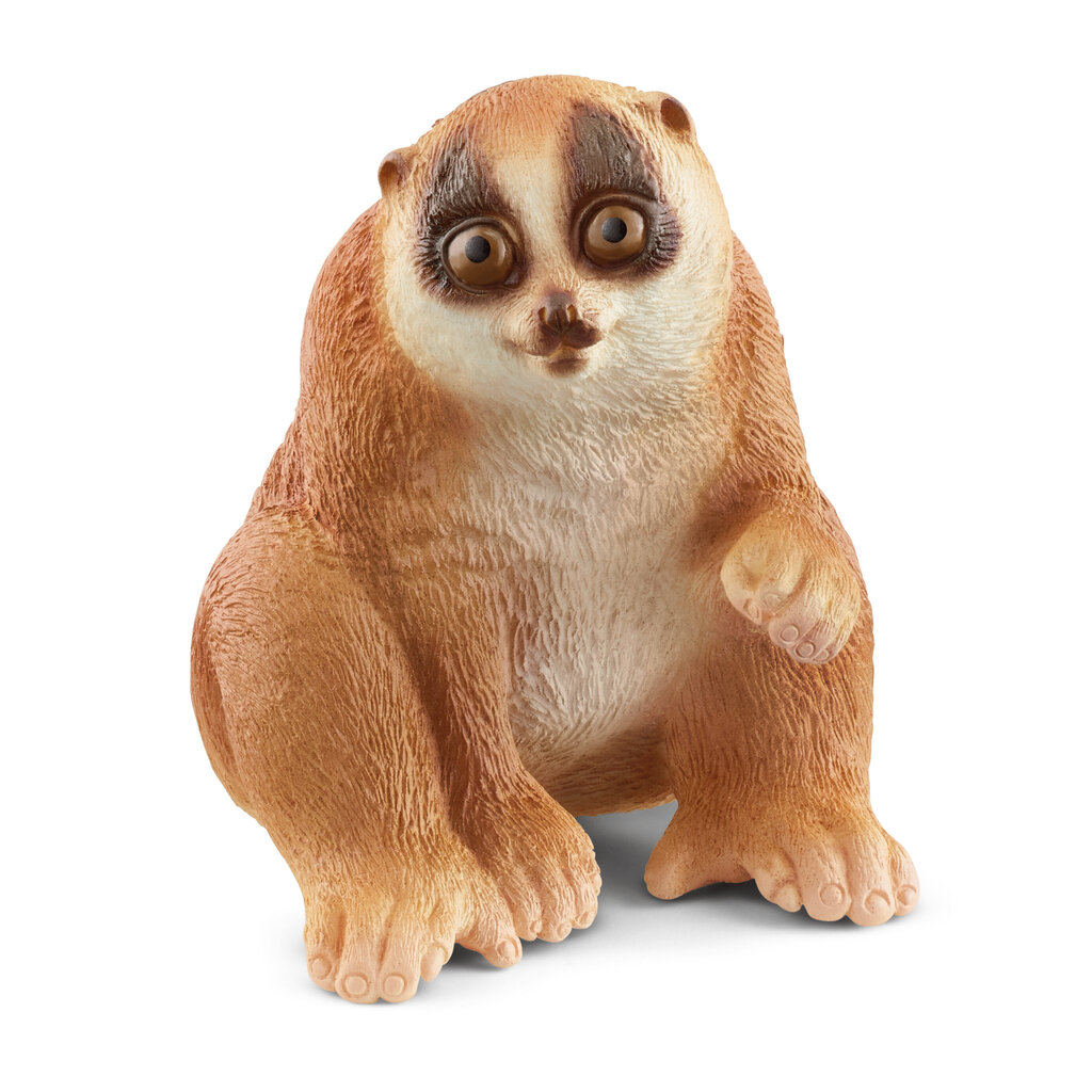 Laiskiainen loris Schleich Wild Life, 1 kpl. hinta ja tiedot | Tyttöjen lelut | hobbyhall.fi