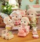 Avyčių šeimynėlė Sylvanian Families hinta ja tiedot | Tyttöjen lelut | hobbyhall.fi