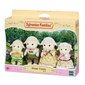 Avyčių šeimynėlė Sylvanian Families hinta ja tiedot | Tyttöjen lelut | hobbyhall.fi