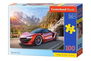 palapeli Sports Car, 100 o. hinta ja tiedot | Palapelit | hobbyhall.fi