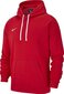 Miesten collegepaita Nike Team Club 19 AR3239657, punainen hinta ja tiedot | Miesten puserot ja hupparit | hobbyhall.fi