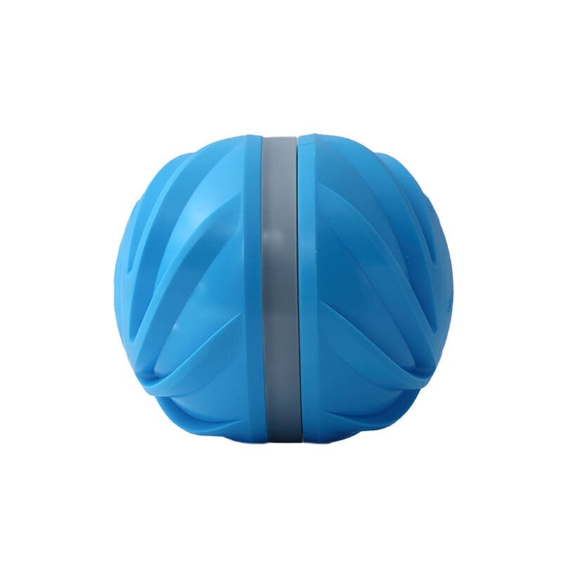 Cheerble interaktiivinen pallo, sininen hinta ja tiedot | Koiran lelut | hobbyhall.fi