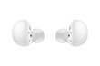 Samsung Galaxy Buds 2 SM-R177NZWAEUE hinta ja tiedot | Kuulokkeet | hobbyhall.fi