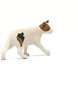 Schleich American Shorthair hinta ja tiedot | Poikien lelut | hobbyhall.fi