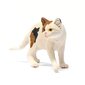 Schleich American Shorthair hinta ja tiedot | Poikien lelut | hobbyhall.fi