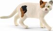 Schleich American Shorthair hinta ja tiedot | Poikien lelut | hobbyhall.fi