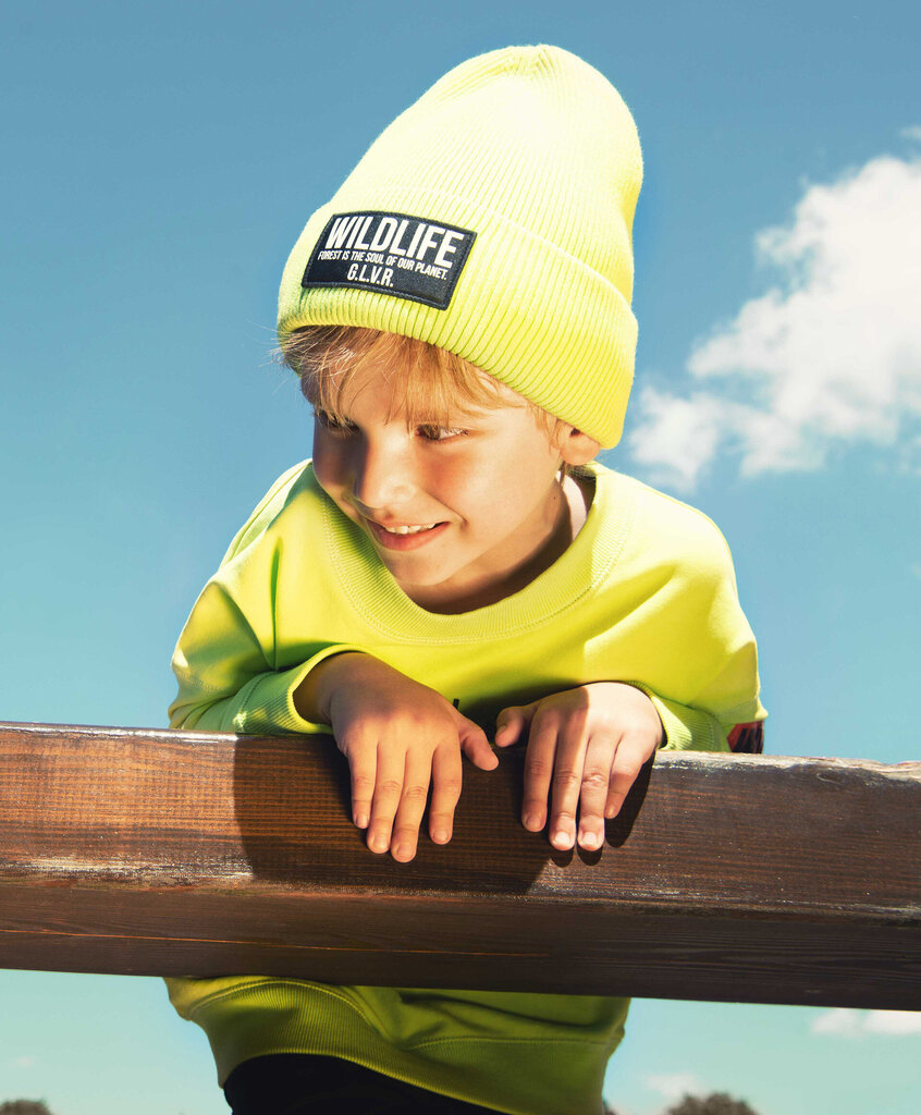 Gulliver hattu lapsille hinta ja tiedot | Lasten talvivaatteet | hobbyhall.fi