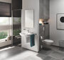 Grohe BauCosmopolitan wc-harjasetti hinta ja tiedot | Kylpyhuoneen sisustus | hobbyhall.fi