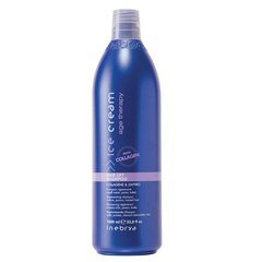 Shampoo vaurioituneille hiuksille Inebrya Ice Cream Age Therapy, 1000 ml hinta ja tiedot | Shampoot | hobbyhall.fi