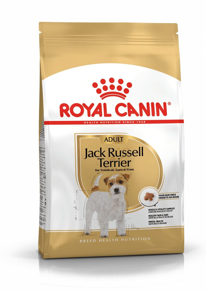 Royal Canin Jack Russell terrierille suunniteltu koiranravinto Adult 1,5 kg hinta ja tiedot | Koiran kuivaruoka | hobbyhall.fi