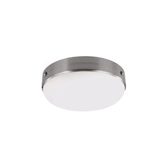 Kattovalaisin Elstead Lighting Cadence FE-CADENCE-F-BS hinta ja tiedot | Kattovalaisimet | hobbyhall.fi