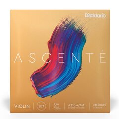 Viulun kielet D'addario Ascente Viulu 4/4 Medium A310 4/4M hinta ja tiedot | D'Addario Ääni- ja videolaitteet | hobbyhall.fi