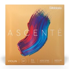 Viulunkielet D'addario Ascente Violin 3/4 Medium A310 3/4M hinta ja tiedot | Soittimien lisätarvikkeet | hobbyhall.fi