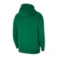 Park20 huppari nike miehet green cw6894302 hinta ja tiedot | Miesten puserot ja hupparit | hobbyhall.fi