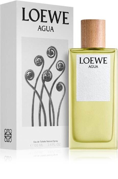 Tuoksu Loewe Agua EDT naisille/miehille 75 ml hinta ja tiedot | Naisten hajuvedet | hobbyhall.fi