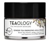 Kosteuttava kasvovoide Teaology Ginger Tea Energizing Aqua-Cream 50 ml hinta ja tiedot | Kasvovoiteet | hobbyhall.fi