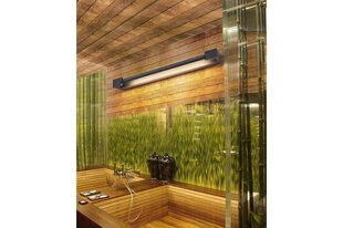 Kylpyhuoneen seinävalaisin AZzardo Dali AZ2893 hinta ja tiedot | Seinävalaisimet | hobbyhall.fi