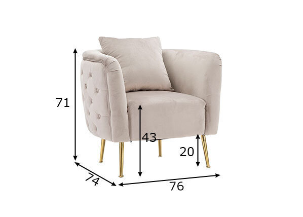 Nojatuoli A2A Glam, harmaa/kultainen väri hinta ja tiedot | Nojatuolit | hobbyhall.fi