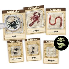 4M KidzLabs Creepy Crawly Digging Kit hinta ja tiedot | 4M Lapset | hobbyhall.fi