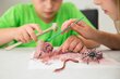 4M KidzLabs Creepy Crawly Digging Kit hinta ja tiedot | Tyttöjen lelut | hobbyhall.fi