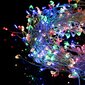 Paristokäyttöinen LED valosarja (100 lediä, värillinen) hinta ja tiedot | Jouluvalot | hobbyhall.fi