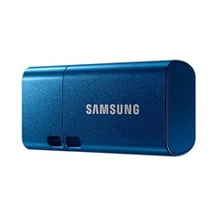 Samsung MUF-256DA/APC hinta ja tiedot | Samsung Kovalevyt ja muistitikut | hobbyhall.fi