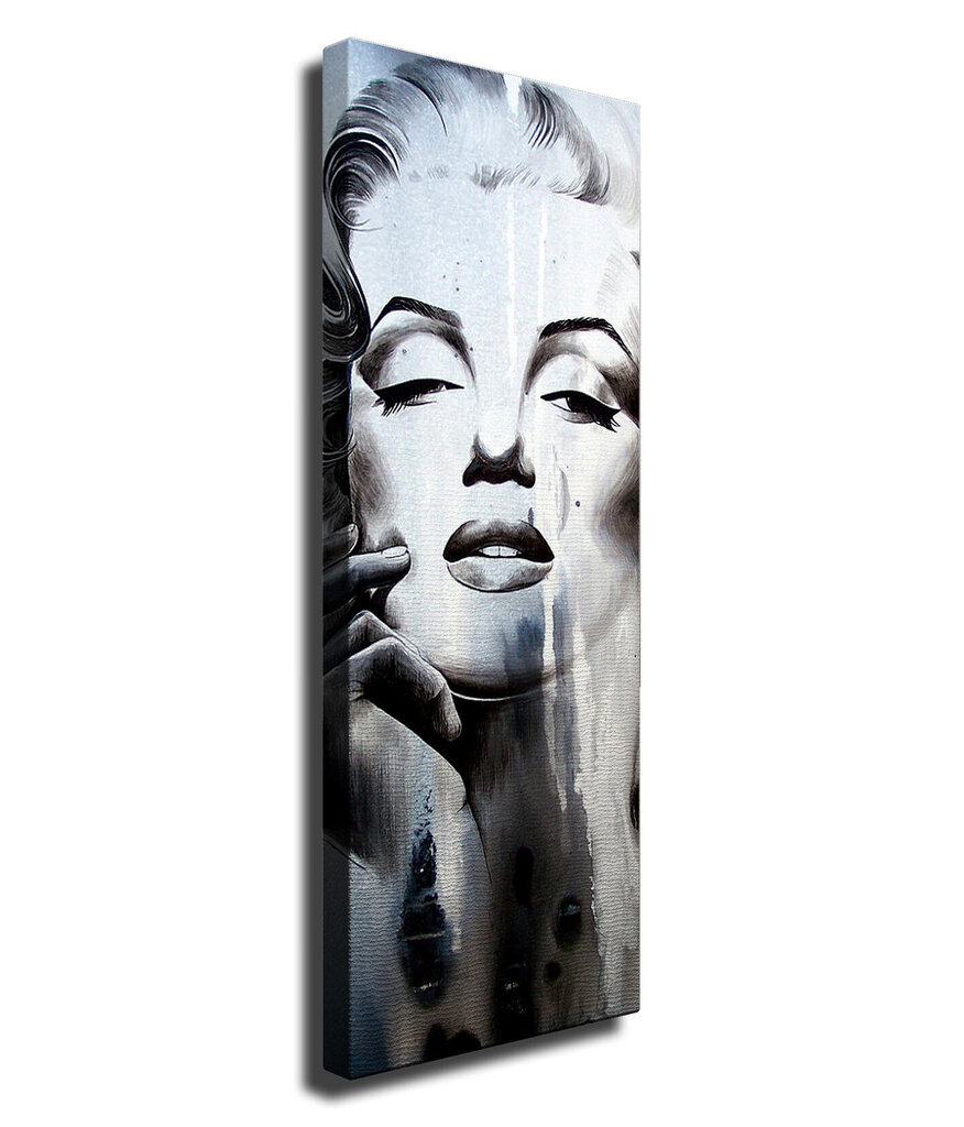 Taidejäljennös Marilyn Monroe hinta ja tiedot | Taulut | hobbyhall.fi