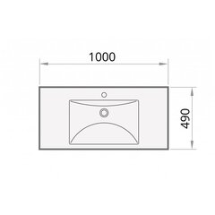 PAA Pesuallas Suorakaiteen muotoinen 100x49 cm hinta ja tiedot | Pesualtaat | hobbyhall.fi