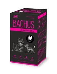 Ravintolisä Bachus Small&Healthy, 60 kpl hinta ja tiedot | Koiran terveys ja hyvinvointi | hobbyhall.fi