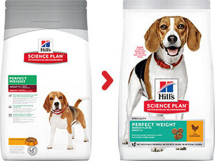 Kuivaruoka koirille Hill's Science Plan Perfect Weight Medium Adult kanan kanssa, 12 kg hinta ja tiedot | Koiran kuivaruoka | hobbyhall.fi