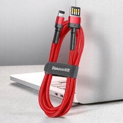 Baseus USB 2.0 - Lightning, 1 metrinen kaapeli CALKLF-G09 hinta ja tiedot | Kaapelit ja adapterit | hobbyhall.fi