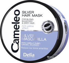 Hiusnaamio vaaleille hiuksille Delia Cosmetics Cameleo Silver 200 ml hinta ja tiedot | Naamiot, öljyt ja seerumit | hobbyhall.fi