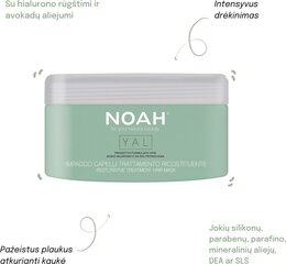 Noah Hiusnaamio hyaluronilla 200 ml hinta ja tiedot | Noah Hajuvedet ja kosmetiikka | hobbyhall.fi