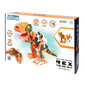 Blue Rocket Rex robotti hinta ja tiedot | Poikien lelut | hobbyhall.fi