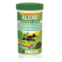 Prodac Algae Wafers Mini kasvistabletit kaloille 7-8mm, 100ml 50g hinta ja tiedot | Kalanruoka | hobbyhall.fi