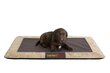 Peti Hobbydog XL, 110x90 cm, ruskea hinta ja tiedot | Pedit ja pesät | hobbyhall.fi