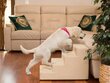 Hobbydog portaikko Inarii 4, beige, 60x40x40 cm. hinta ja tiedot | Pedit ja pesät | hobbyhall.fi
