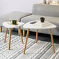 Kahden pöydän setti SoBuy FBT74-W, valkoinen/ruskea hinta ja tiedot | Sohvapöydät | hobbyhall.fi