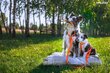 Amiplay Guard Samba -koirien valjaat, M, vihreä hinta ja tiedot | Koiran valjaat ja kaulapannat | hobbyhall.fi
