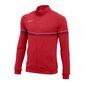 Miesten collegepaita Nike Dri-FIT Academy 21 M CW6113-657, punainen hinta ja tiedot | Miesten urheiluvaatteet | hobbyhall.fi