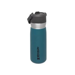 Termospullo pillillä The IceFlow Flip Straw Water Bottle Go 0,65 l, laguunin sininen hinta ja tiedot | Termoskannut ja termosmukit | hobbyhall.fi