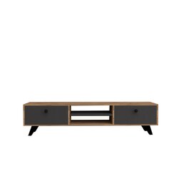 TV-pöytä Kalune Design 835(III), ruskea/harmaa hinta ja tiedot | TV-tasot | hobbyhall.fi