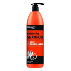 Kosteuttava shampoo aloe veralla ja granaattiomenauutteella Chantal Prosalon, 1000 g hinta ja tiedot | Shampoot | hobbyhall.fi