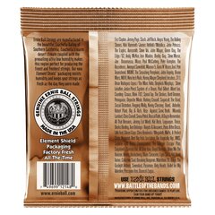 Kielet akustiselle kitaralle Ernie Ball Earthwood Light Bronze 0.011 - 0.052 hinta ja tiedot | Soittimien lisätarvikkeet | hobbyhall.fi