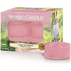 Tuoksukynttilät Yankee Candle Sunny Daydream 9,8 g, 12 kpl. hinta ja tiedot | Yankee Candle Huonekalut ja sisustus | hobbyhall.fi