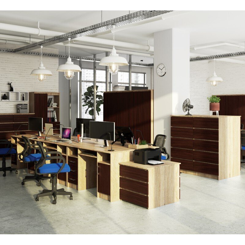 Työpöytä NORE Ana, tammen väri/ruskea hinta ja tiedot | Tietokonepöydät ja työpöydät | hobbyhall.fi
