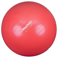 Avento Fitness/jumppapallo halkaisija 75 cm pinkki hinta ja tiedot | Avento Urheilu ja vapaa-aika | hobbyhall.fi