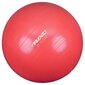 Avento Fitness/jumppapallo halkaisija 75 cm pinkki hinta ja tiedot | Voimistelupallot | hobbyhall.fi