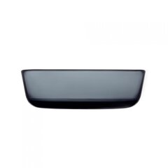 Iittala kulho Essence, 16 cm hinta ja tiedot | Astiat | hobbyhall.fi