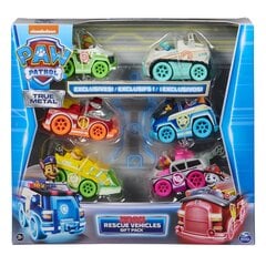 True Metal Neon Puppies Patrol Puppies (Paw Patrol (Ryhmä Hau)) SpinMaster SpinMaster hinta ja tiedot | SpinMaster Lapset | hobbyhall.fi